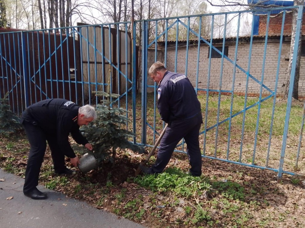 Спасатели Пушкинского округа высадили саженцы деревьев на территориях своих частей
