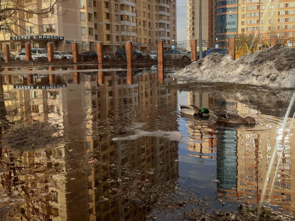 В центральном парке спецтехника выйдет на борьбу с подтоплениями