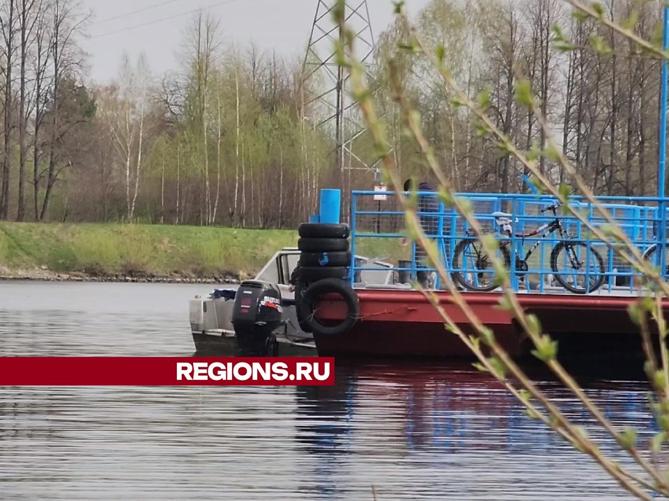 Противопаводковые мероприятия позволили вовремя запустить речную навигацию в Дубне