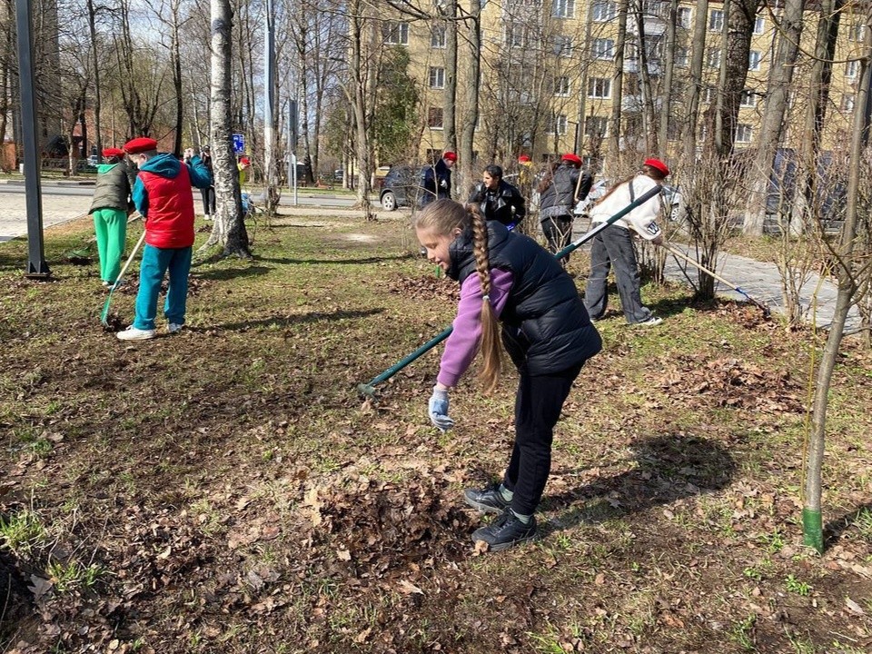В «День добрых дел» школьники округа высадят деревья в парках Долгопрудного