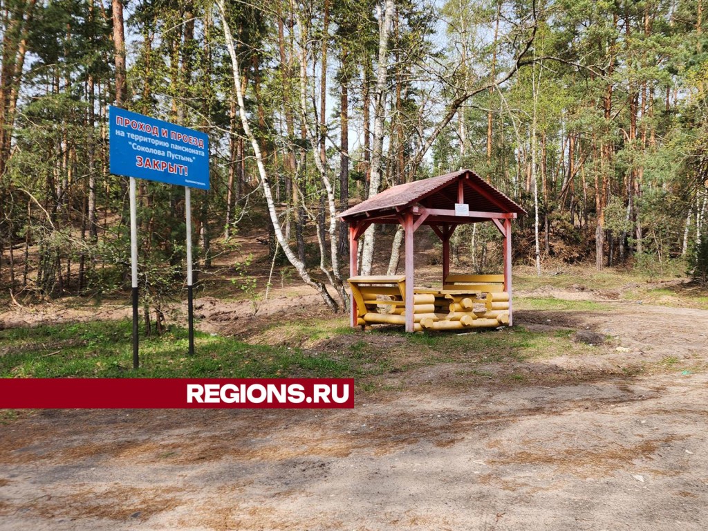 На интерактивной карте обозначили места отдыха на природе в Ступине |  REGIONS.RU / Ступино