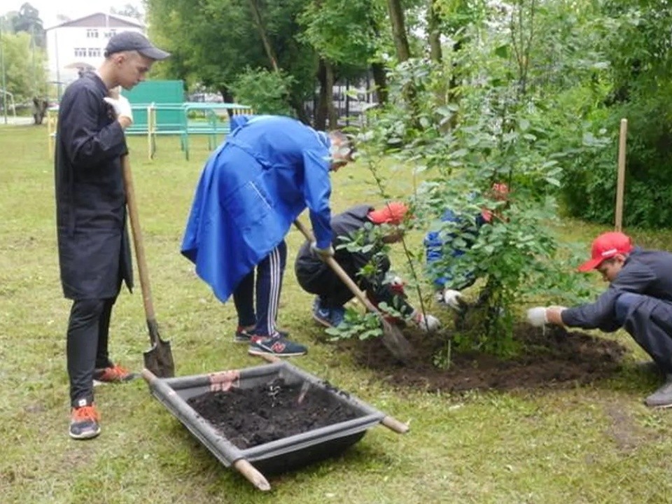 Предпринимателям города расскажут на вебинаре как трудоустроить подростка на лето