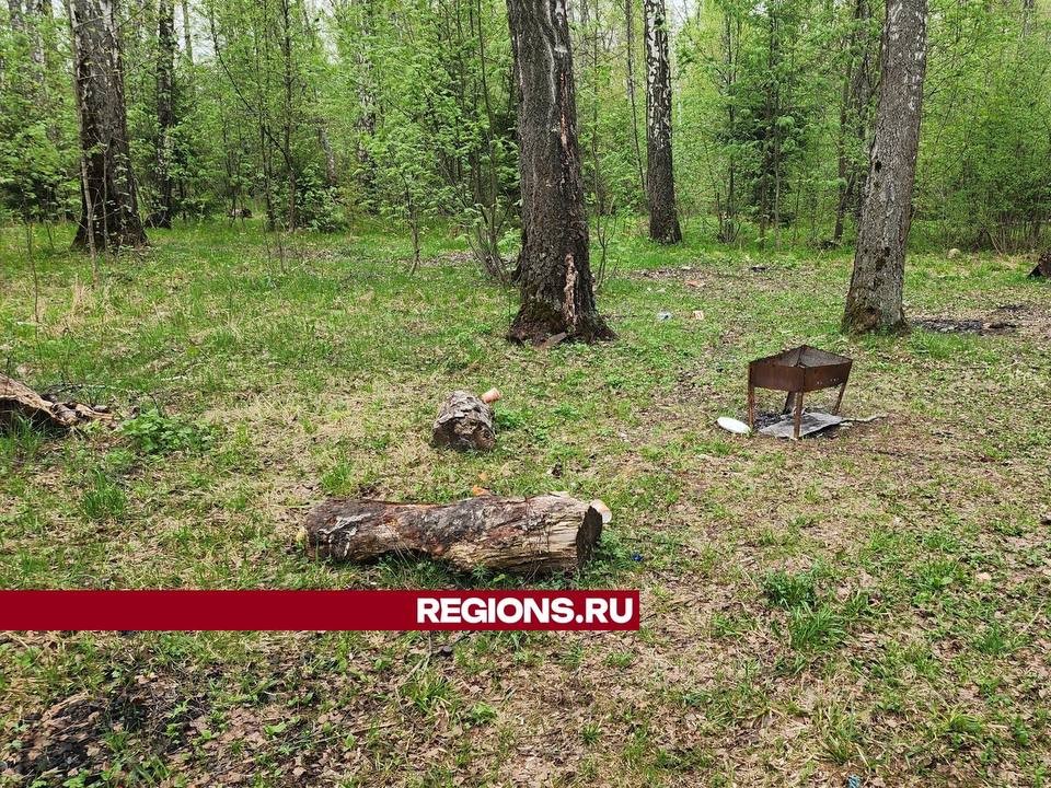 Каширян предупредили о штрафах, грозящих за разведение костров в неположенных местах