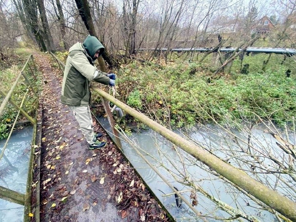 Попавшие в реку Лавровку нефтепродукты грозят катастрофой – Минэкологии Подмосковья