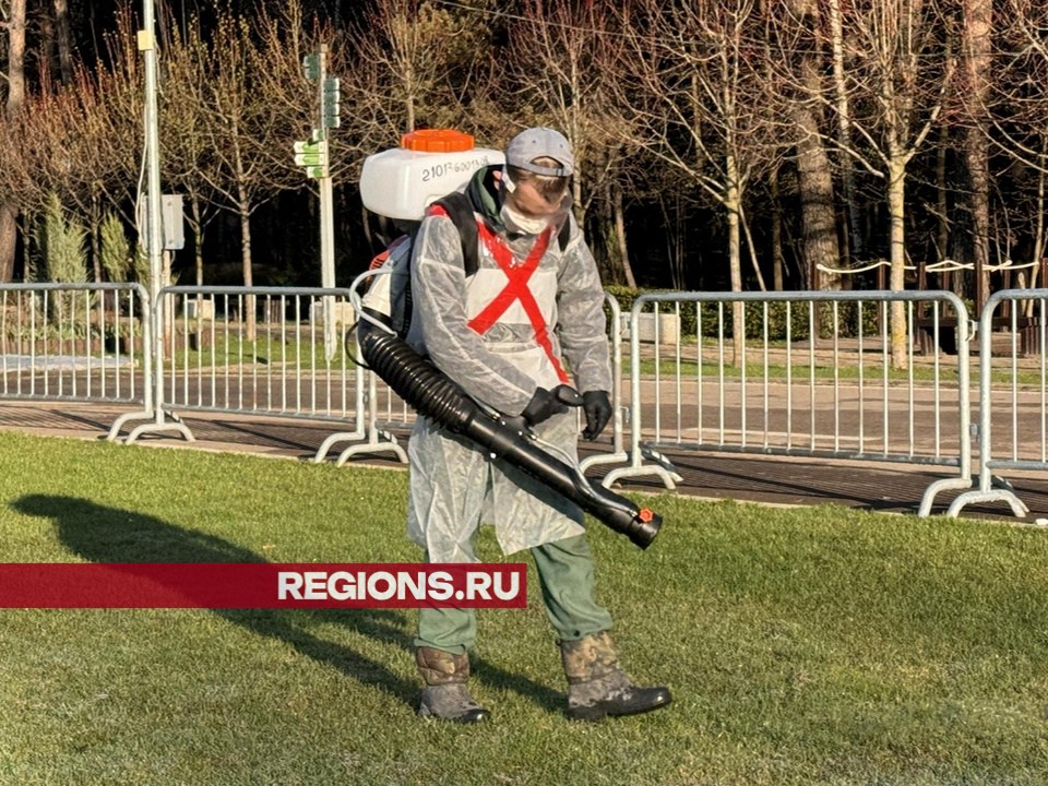 Одинцовский парк культуры и отдыха имени Л. Лазутиной обработали от клещей