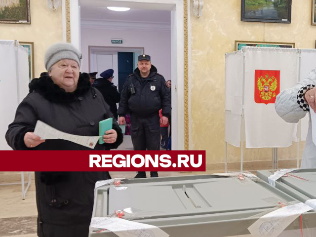 На выборах президента РФ в Дмитровском округе проголосовали уже более 75 тыс. избирателей