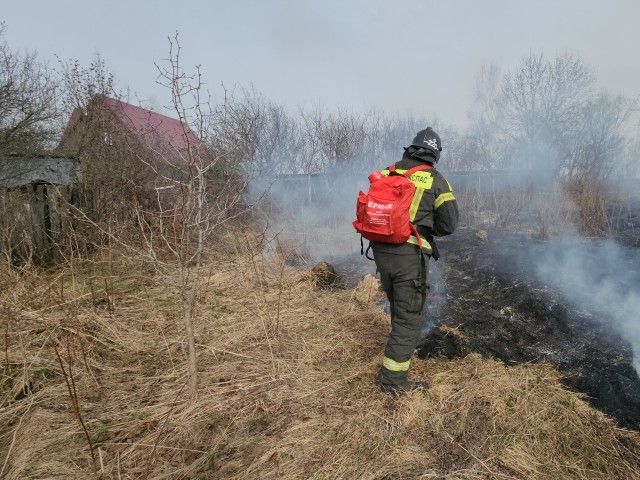 Бережем леса: новые технологии для обеспечения безопасности природы в Подмосковье