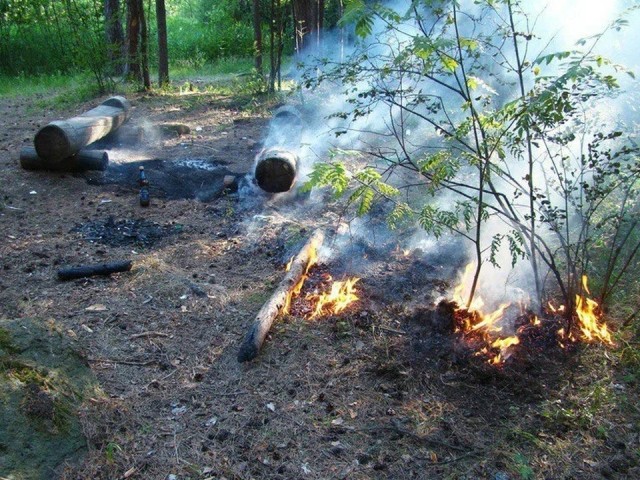 Виновникам лесных пожаров в Воскресенске грозят большие штрафы
