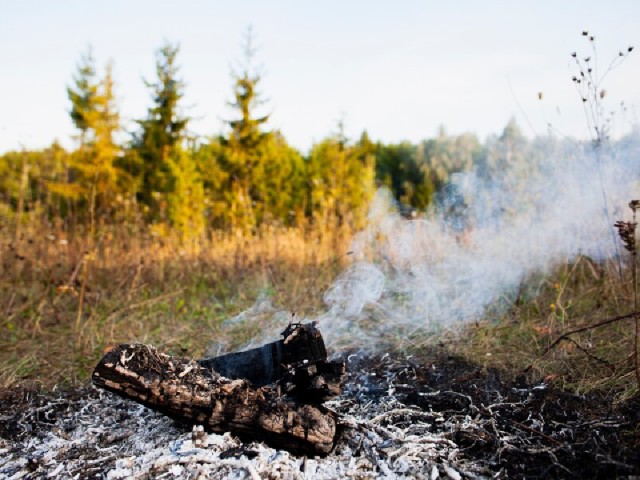 В лес без последствий: публикуем правила пожарной безопасности на природе