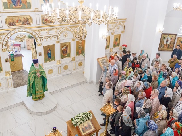 Праздник Входа Господня в Иерусалим отметили православные в Ступине