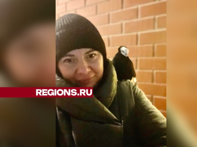 Сотрудница реанимации спасает голубей в Краснознаменске