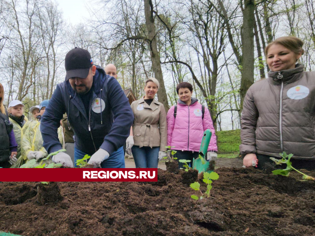 Общественный огород открылся в Рузе в «День добрых дел»