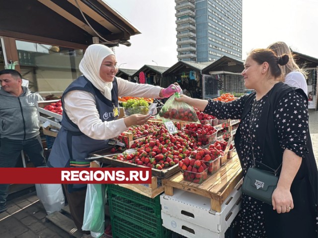 Ягодный сезон открыт: одинцовские ветврачи проверяют клубнику на нитраты