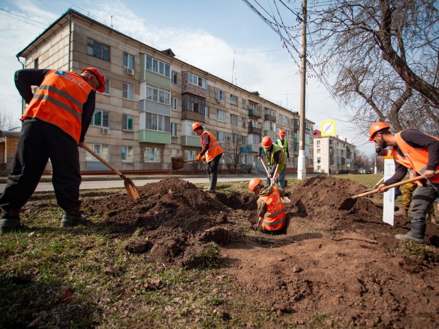 Город останется зеленым: деревья и кустарники высадят на Садовой в Кашире-2 после завершения строительства трубопровода