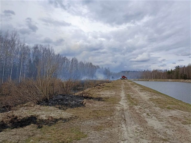 В Подмосковье ликвидированы первые лесные пожары