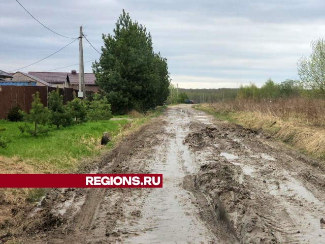 Дорогу в деревне Березня приведут в порядок до 1 июня