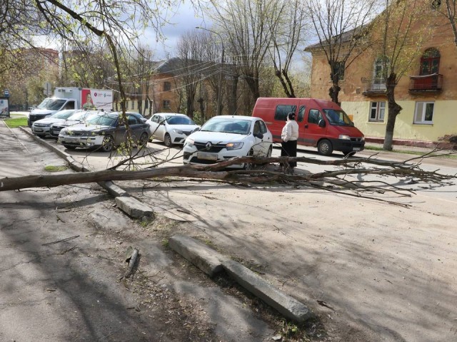 Оборванные провода и поваленные деревья: стихия продолжает бушевать в Подольске