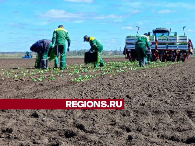 Посевная кампания: на поля Дмитровского округа вышла сельскохозяйственная техника