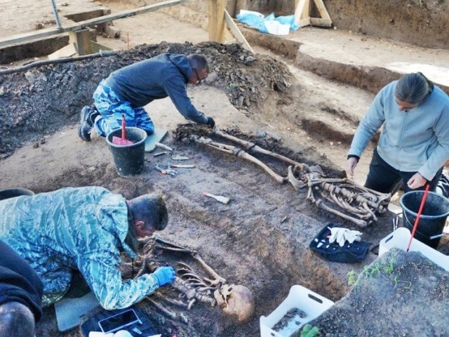 Тайны древней цивилизации раскроют палеонтологи этим летом под Серпуховом