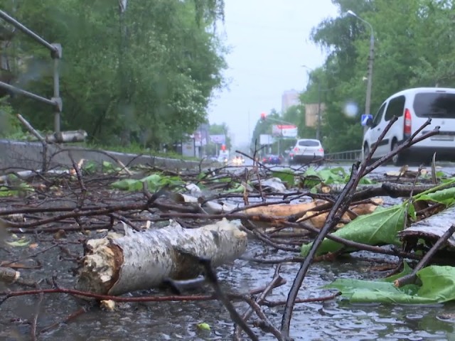 Жителей Черноголовки предупредили о шторме