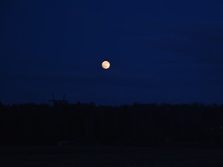 Этой ночью горожане наблюдали редкое астрономическое явление – «Розовую Луну»