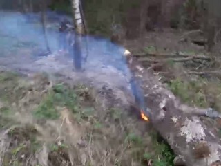 Жители Солнечногорска потушили пожар в парке у Сенежа
