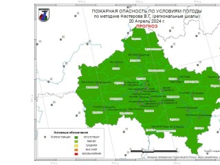 В Дмитровском городском округе возгораний лесных массивов не ожидается
