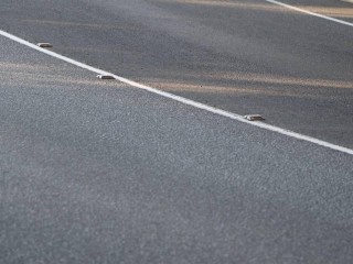 Мигающие светлячки: безопасность проселочных дорог в округе повысят катафотами