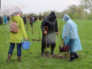 «У природы нет плохой погоды»: жительница Серебряных Прудов не испугалась дождя и посадила свое дерево в парке
