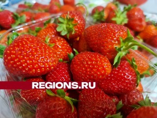 Сезон торговли клубникой стартует в городском округе Луховицы с 1 апреля
