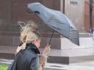 МЧС: в Москве ожидаются дождь и гроза
