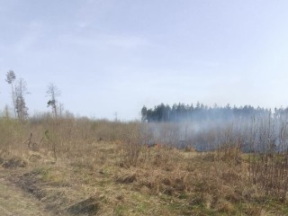 Возле деревни Дмитрово обнаружили возгорание