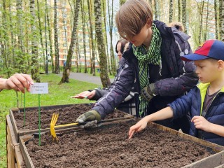 Юные жители Домодедова высадили семена овощей на общественном огороде в «День добрых дел»