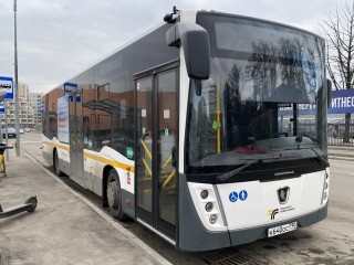 Мострансавто в Истре приглашает на работу водителей автобусов
