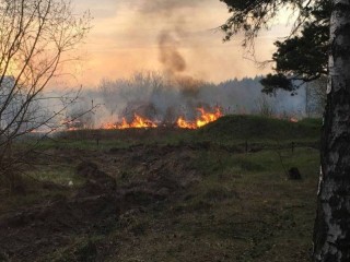Рядом с Кузьминским лесопарком потушили возгорание сухой травы