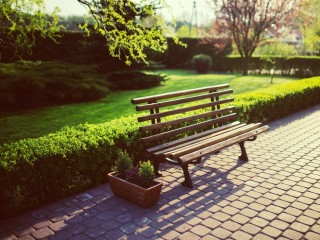 Городской парк Электрогорска подготовят к летнему сезону до конца недели