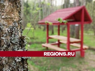 Шашлык без штрафа: места для отдыха на природе начали оборудовать в Талдомском лесничестве