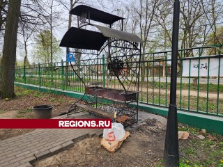 Официальное место: жители Пушкино могут без проблем с законом пожарить шашлык на мангале в «Березовой роще»