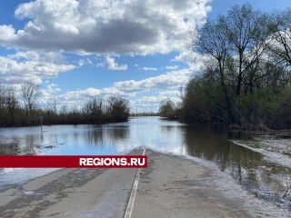 Половодье в городском округе Луховицы доживает последний день