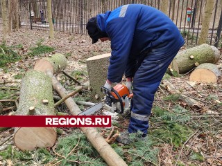 Последствия сильного ветра ликвидируют в детском городке «Сказочный» в Красногорске