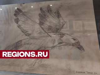 На выставке в ДК «Луговая» представлены детские рисунки ко Дню птиц