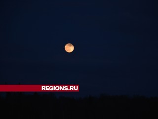 Мощный период для медитаций и практик: «Розовая Луна» взошла над Пушкинским округом