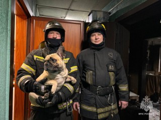 Московские пожарные спасли мужчину-самогонщика и его собаку