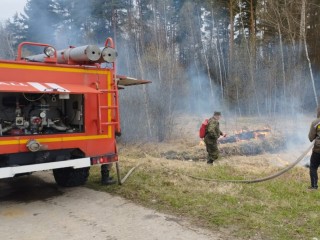 В лесу под Егорьевском ликвидировали возгорание