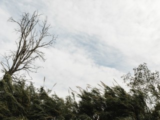 Вихрь по имени «Гори» надвигается на Лотошино со штормом и ливневым дождем
