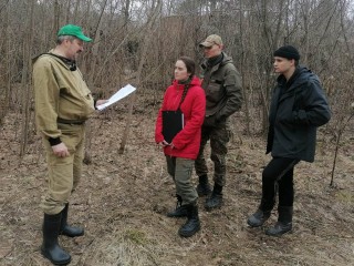 Студенты Бауманки выяснили, какой запас  древесины в лесах Подмосковья
