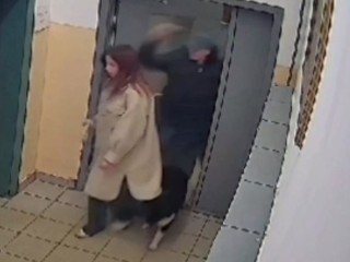 Неизвестный мужчина избил девушку с собакой в Ивантеевке (видео)
