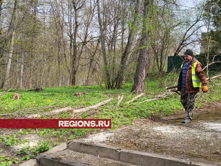 В День добрых дел во Власихе пройдет экологический флешмоб и благотворительная ярмарка