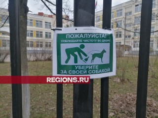 Дети не хотят идти по нечистотам: в школе № 27 появились таблички с призывами убирать за собаками