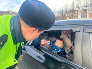 Талдомские инспектора дорожного движения проверяют, как перевозят детей в автомобиле